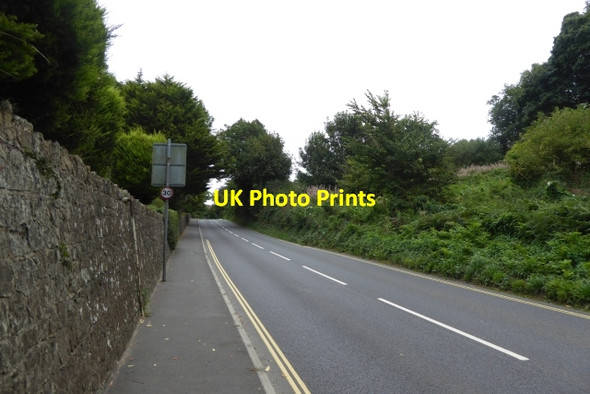 Photo 6"x4" Shanklin Road Godshill\/SZ5281 c2016