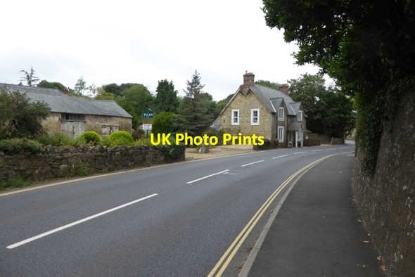 Photo 6"x4" Edge of Godshill Godshill\/SZ5281 c2016