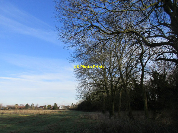Photo 6"x4" Alongside the Bubwith Rail Trail Breighton c2017