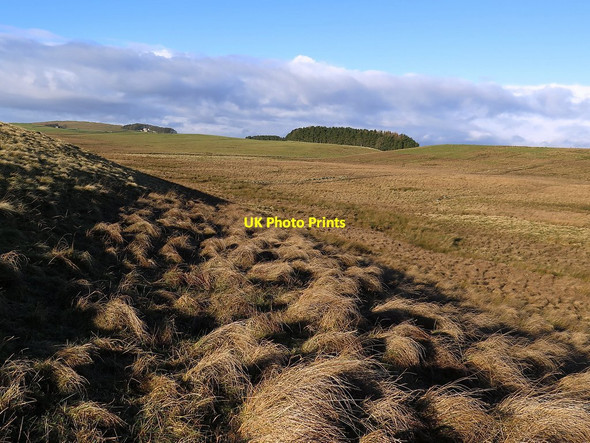Photo 6"x4" Rough moorland below Howden Hill Howden Hill\/NY8369 c2017