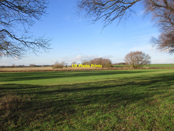 Photo 6"x4" Ellerton Ings Ellerton\/SE7039 c2017