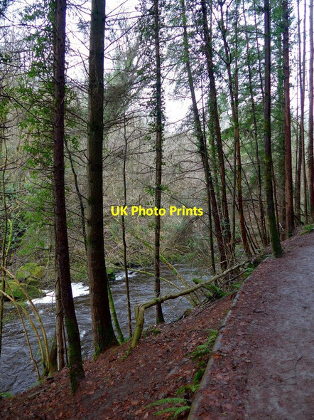 Photo 6"x4" The Avon Water near Barncluith Hamilton\/NS7255 c2017