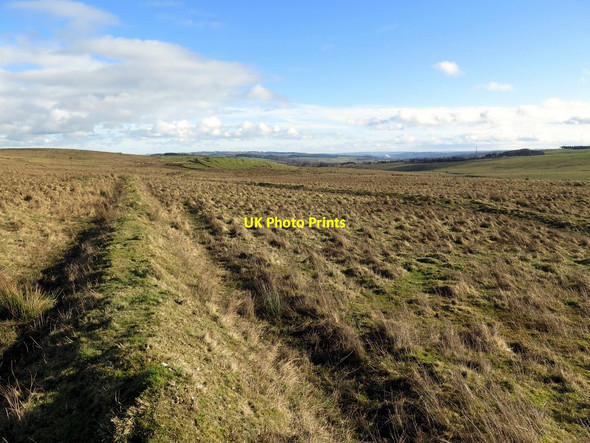 Photo 6"x4" Old boundary bank east of Grindon Chesterwood c2017
