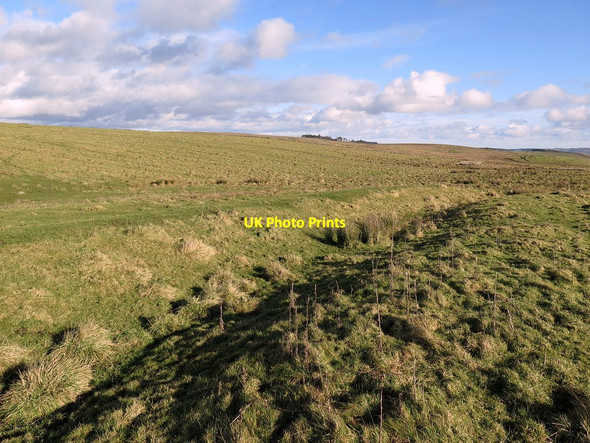 Photo 6"x4" North ditch of West Howden Hill Romano-British settlement Chesterwood c2017
