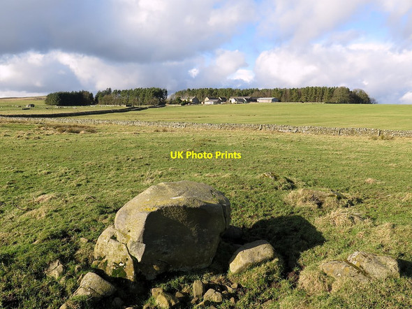 Photo 6"x4" Boulder near Grindon Chesterwood c2017