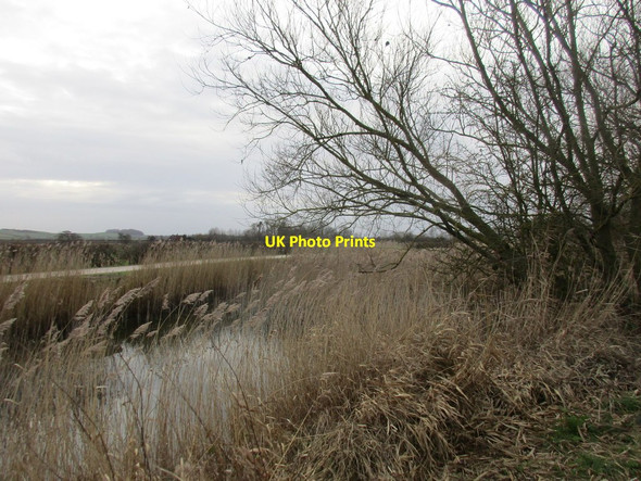Photo 6"x4" The Grantham Canal Bassingfield c2017