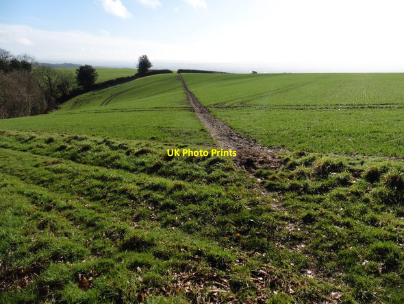 Photo 6"x4" MacMillan Way West Toulton c2017