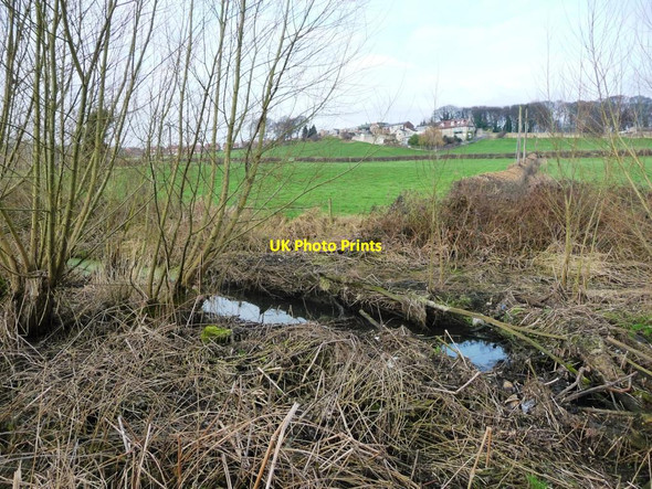 Photo 6"x4" Elsecar branch, Dearne & Dove Canal, below Storey Lock Hemingfield c2017