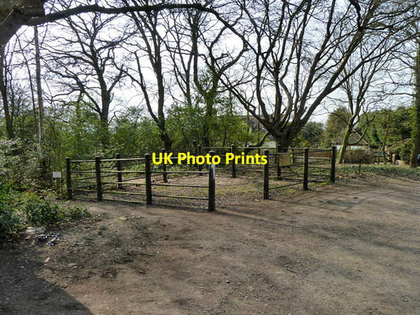 Photo 6"x4" Hainault Forest pound Lambourne End c2013
