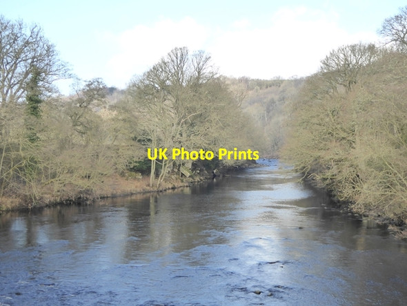 Photo 6"x4" The River Tees at Cotherstone Cotherstone c2017