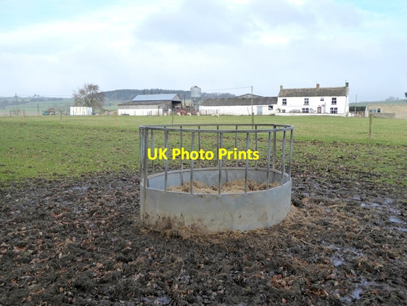 Photo 6"x4" East Holme Farm Cotherstone c2017