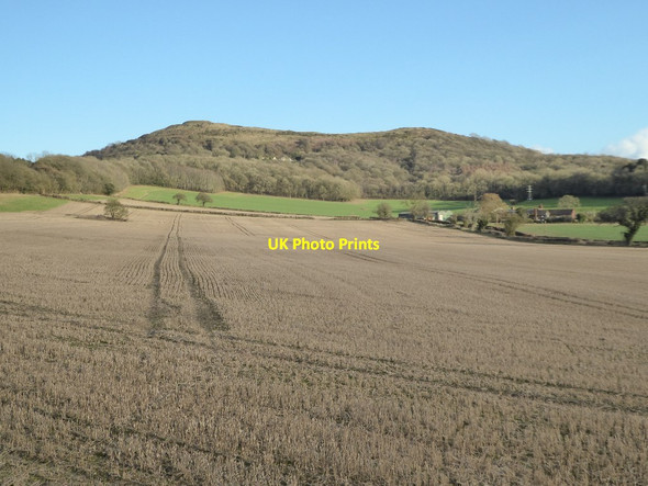 Photo 6"x4" The Herefordshire Beacon Barton Court\/SO7440 c2017