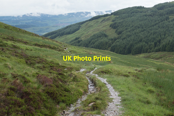 Photo 6"x4" Looking along the track down into Ledard Glen Kinlochard c2015