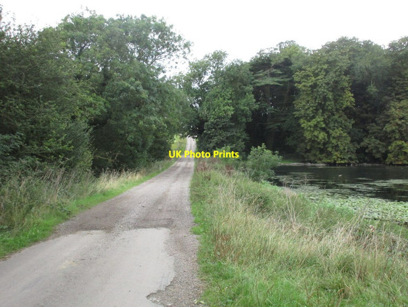 Photo 6"x4" Bridleway across the dam Exton\/SK9211 c2016