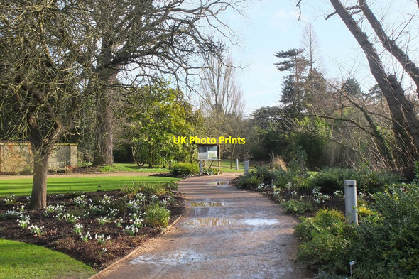 Photo 6"x4" Cambridge University Botanic Garden Cambridge\/TL4658 c2017