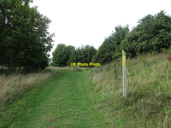 Photo 6"x4" Keep to the path Stretton\/SK9415 c2016