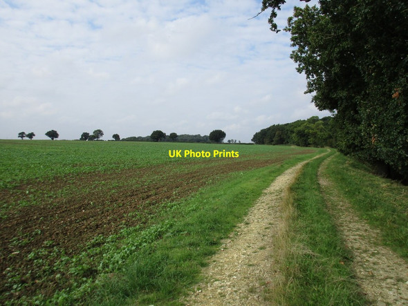 Photo 6"x4" Farm track alongside Colley Holts Bitchfield c2016