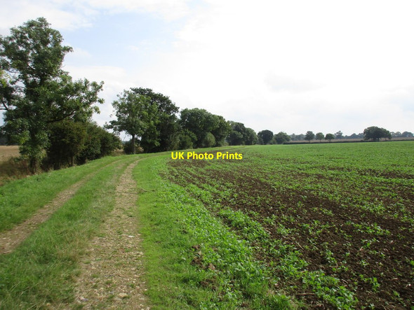Photo 6"x4" Bridleway to Corby Road Bitchfield c2016