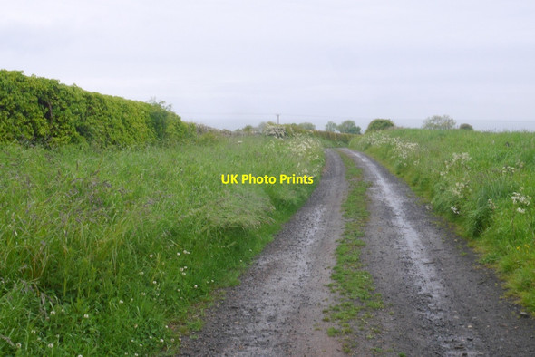 Photo 6"x4" Farm road, Scremerston Scremerston c2016