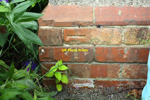 Photo 6"x4" Benchmark on #26 Haig Road Richmond\/NZ1701 c2016