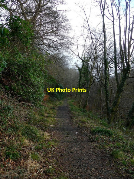 Photo 6"x4" The path up to the Kelly Cut Skelmorlie c2017