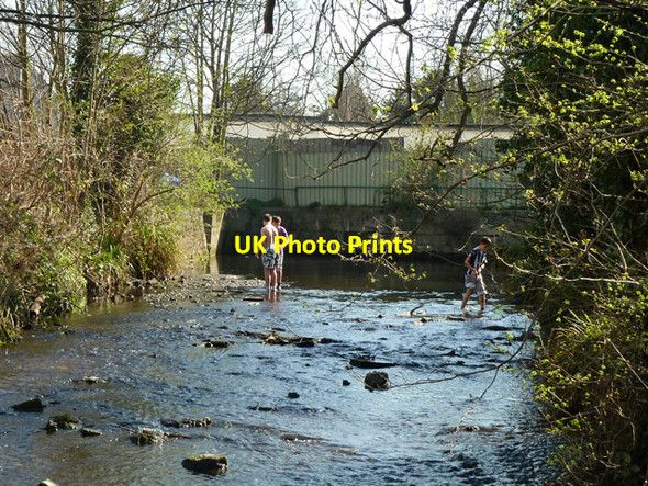 Photo 6"x4" Boys in River Wandle Carshalton c2012