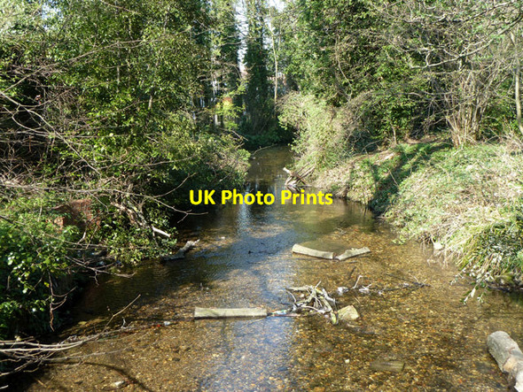 Photo 6"x4" River Wandle (Carshalton branch) Carshalton c2012