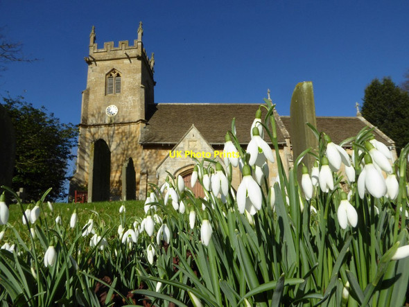 Photo 6"x4" Snowdrops and Woolstone church Woolstone\/SO9630 c2017