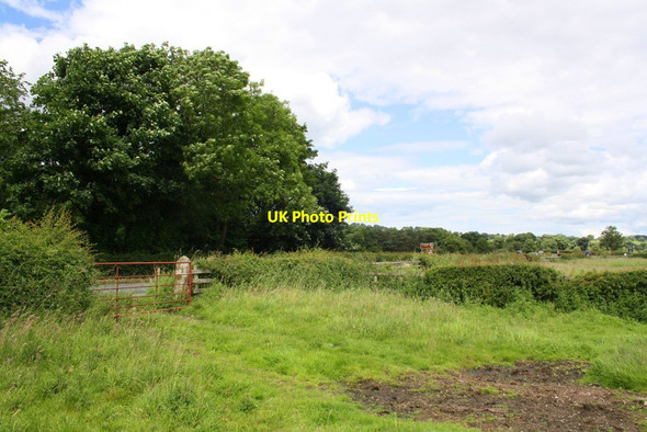 Photo 6"x4" Corner of field beside the A684 where there used to be a barn Wensley\/SE0989 c2016