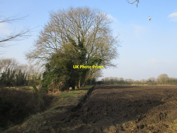 Photo 6"x4" Newly prepared field Scotterthorpe c2017