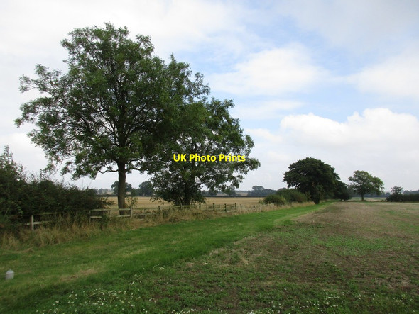 Photo 6"x4" Field edge near Ingoldsby Grange Bitchfield c2016