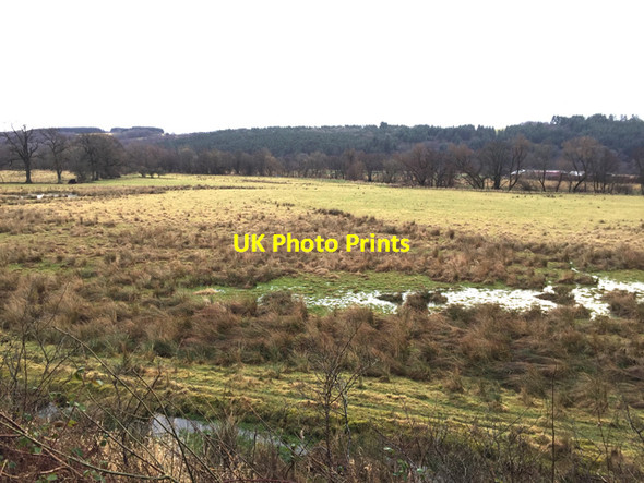 Photo 6"x4" Wet ground on the River Devon flood plain Dollar c2017