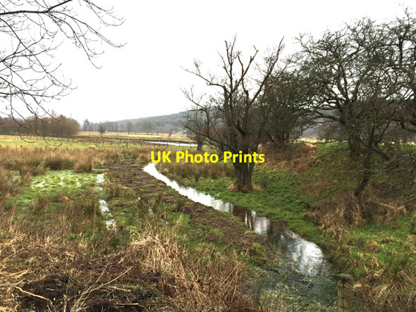 Photo 6"x4" Wet ground on the River Devon flood plain Tillicoultry c2017