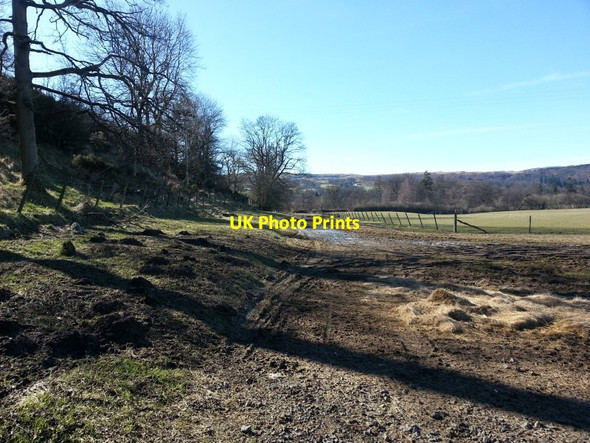 Photo 6"x4" Farm track Cambusbarron c2016