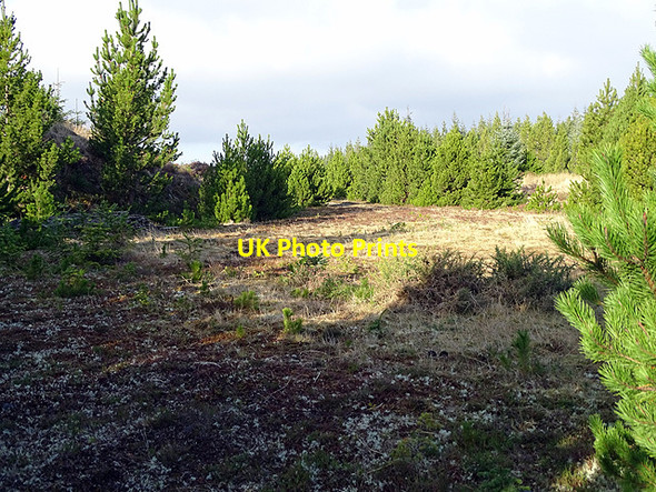 Photo 6"x4" End of the forestry track from Loch Dubh Cnoc nan Sithean c2017