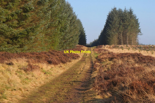Photo 6"x4" Old Post Road, Nether Stewarton Harehope\/NT2044 c2017