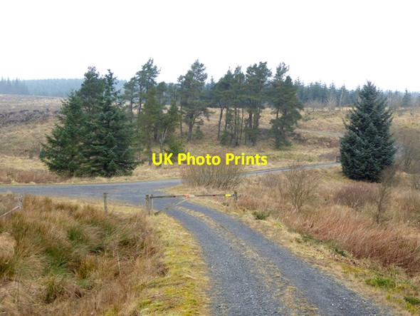 Photo 6"x4" Forest road junction at Hans Hill Chirdon Burn c2017