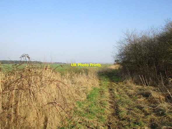 Photo 6"x4" West Common North Road Yaddlethorpe c2017