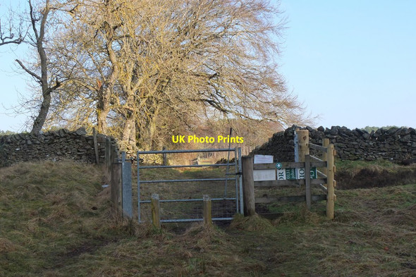 Photo 6"x4" Gate at forest exit, Nether Stewarton Harehope\/NT2044 c2017