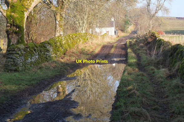 Photo 6"x4" Track at Nether Stewarton Harehope\/NT2044 c2017