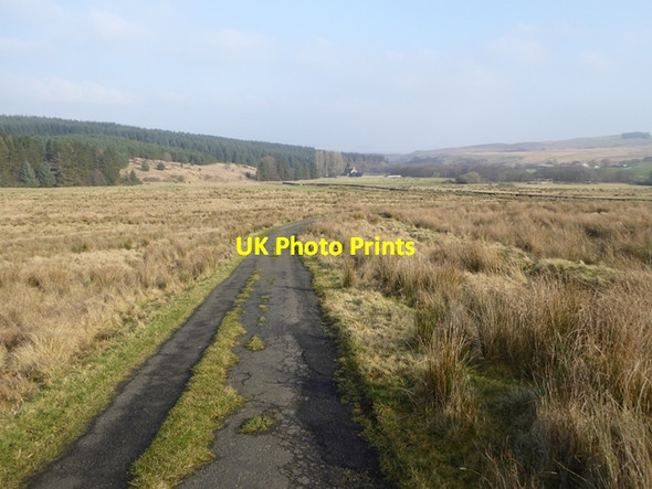Photo 6"x4" A distant view of the Bower Farm Eal c2017