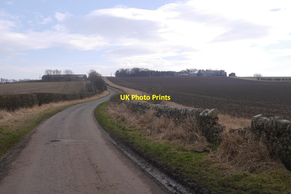 Photo 6"x4" Road, Whitburgh Mains Pathhead\/NT3964 c2017