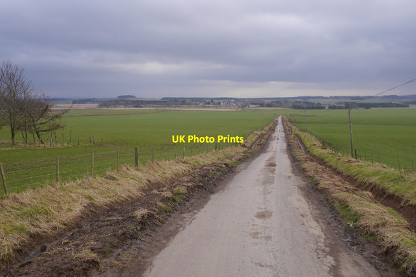 Photo 6"x4" Westruther - Flass road Westruther c2017