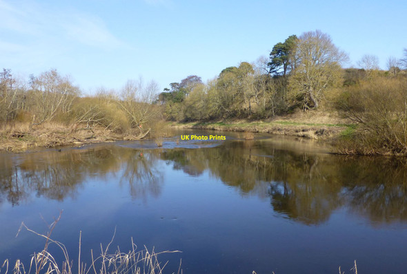 Photo 6"x4" The confluence of the River Tweed and the River Till Melkington c2017