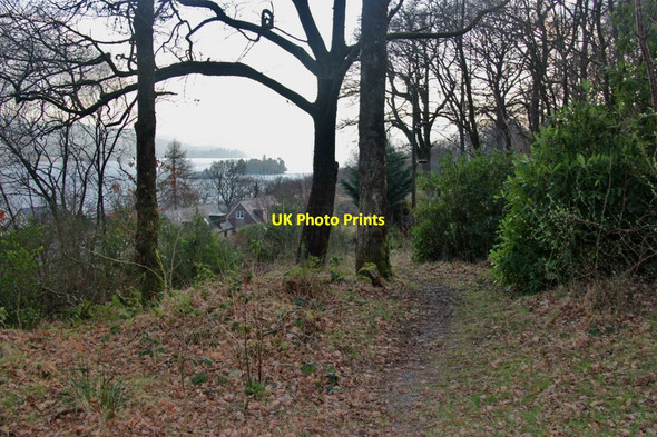 Photo 6"x4" Woodland path above Lochawe Village Innis Chonain c2017