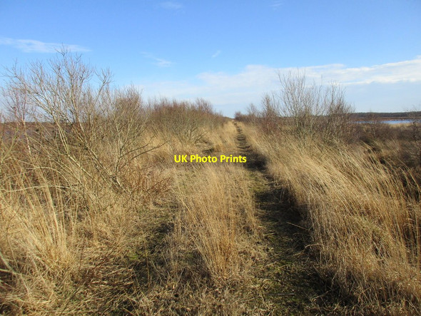 Photo 6"x4" Roadway across former peat workings Tunnel Pits c2017