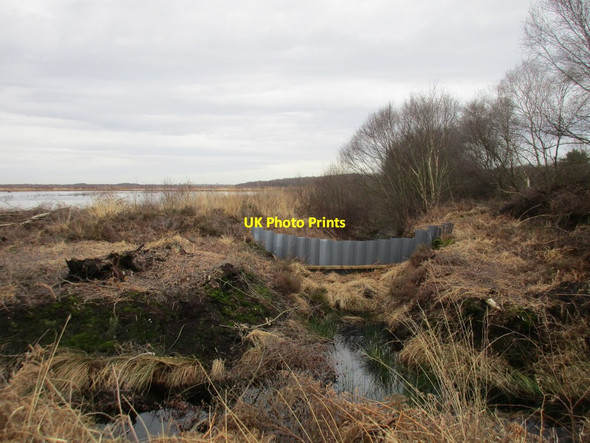 Photo 6"x4" Work on the Moors Woodside\/SE7103 c2017