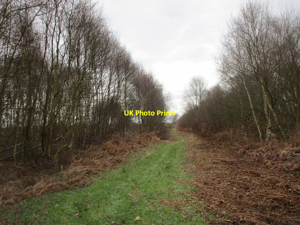 Photo 6"x4" Track on to the Moors Woodside\/SE7103 c2017