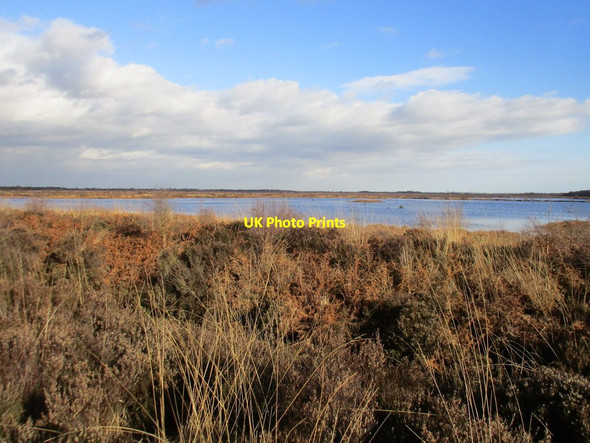 Photo 6"x4" Flooded old peat workings Woodside\/SE7103 c2017
