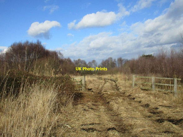 Photo 6"x4" Gate across the track Tunnel Pits c2017
